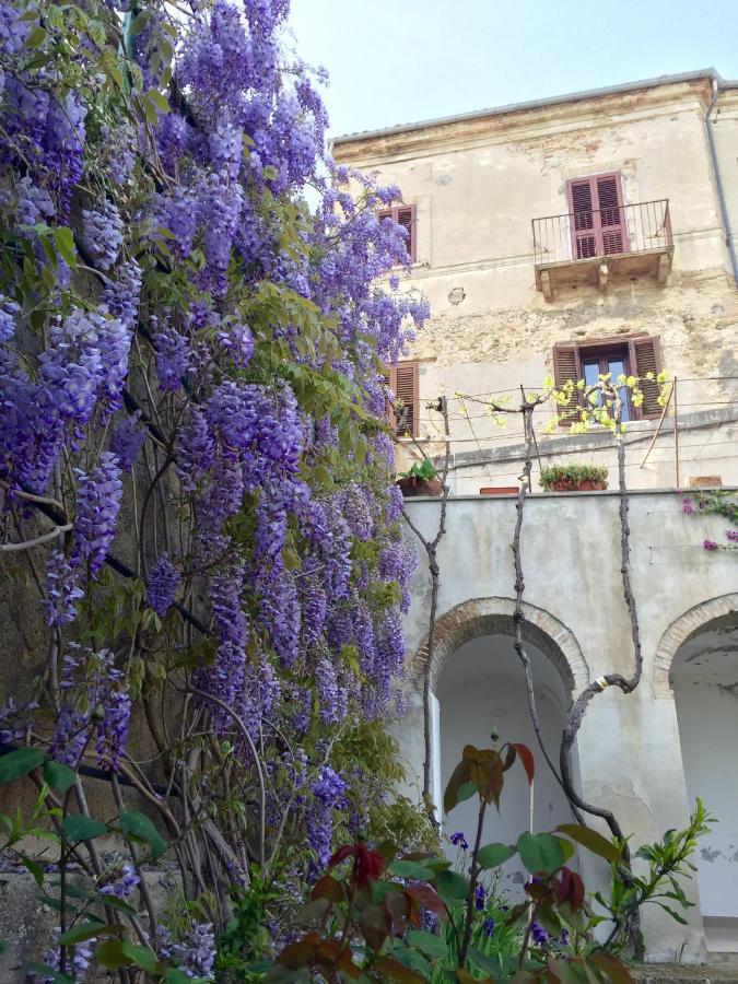 Bed and Breakfast Palazzo De Fabritiis à Rosciano  Extérieur photo